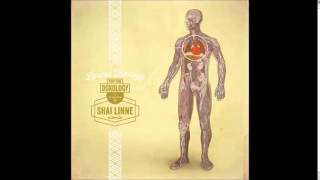 shai linne Accords