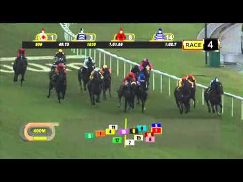 Roar Ranger - Tengku Rehaizat