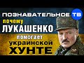 Почему Лукашенко помогает украинской хунте? (Познавательное ТВ, Евгений Фёдоров) 