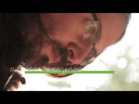 Il Programmatore con lo Scalpello