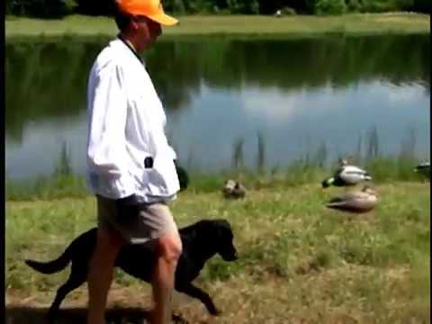 SRS 2009 -CROWN CHAMPIONSHIP - SHOW 1