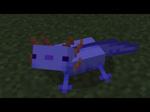 How to get the rare dark blue axolotl in creative (check comments)