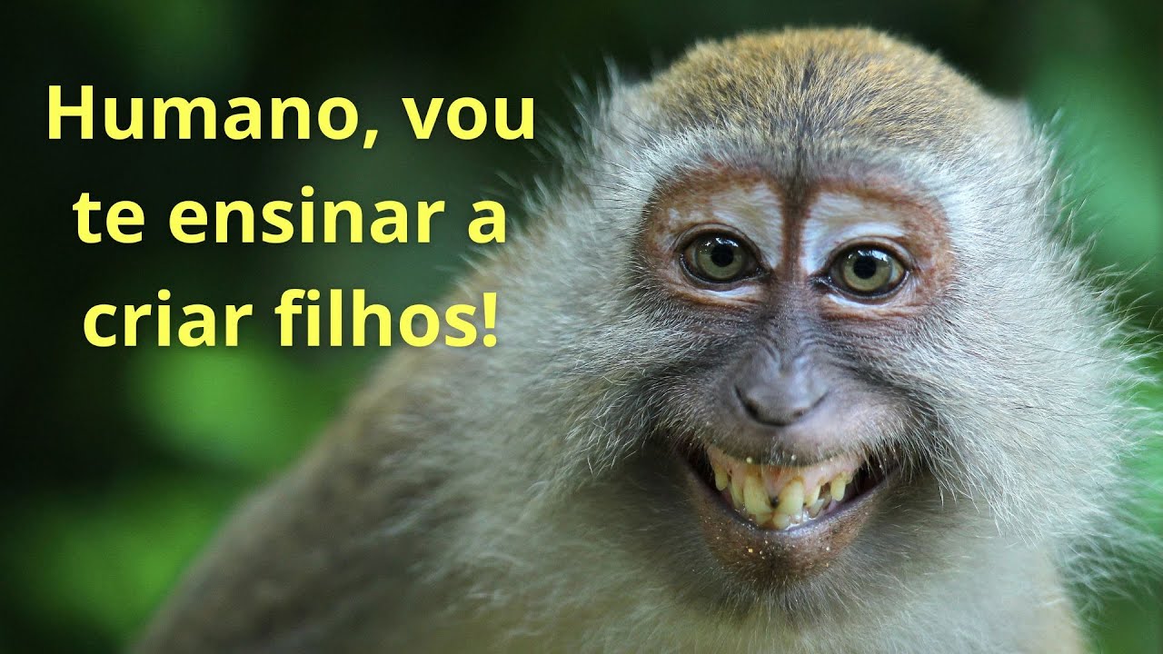 Humano, vou te ensinar a criar filhos