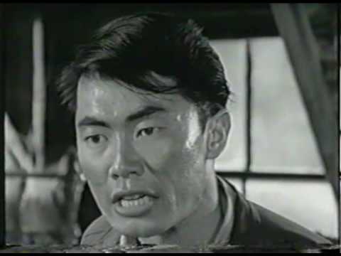 Homenagem a George Takei