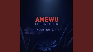 Training Day (Remix)