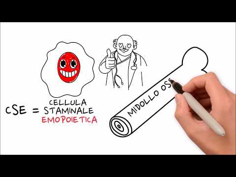 I 30 anni dei donatori di midollo osseo, l'importanza di un gesto I 30 anni dei donatori di midollo osseo, l'importanza di un gesto