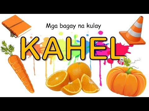 Produkto ay hindi inirerekomenda para sa pagbaba ng timbang Guinea Pig sobra sa timbang