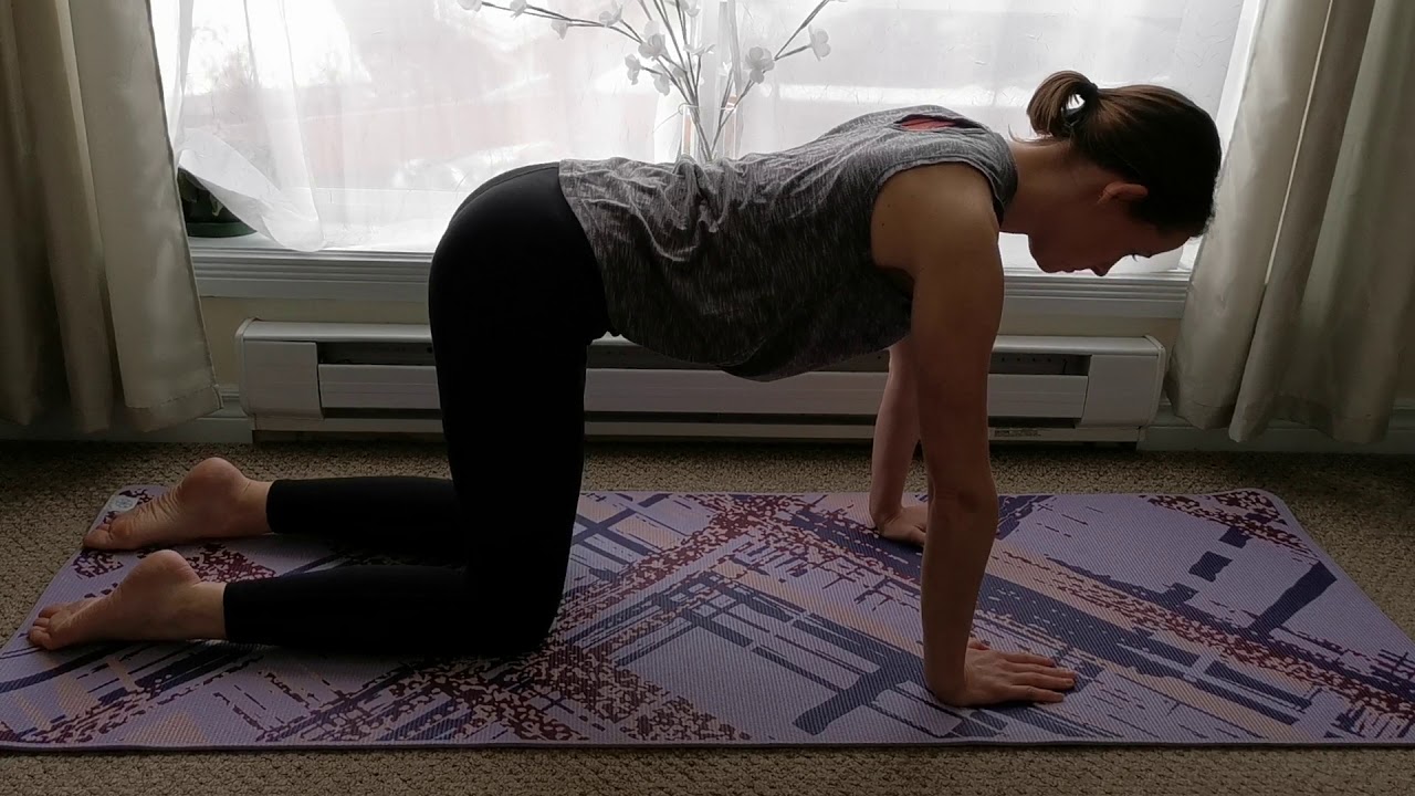 Pilates with Emily / Cat/Cow - YouTube