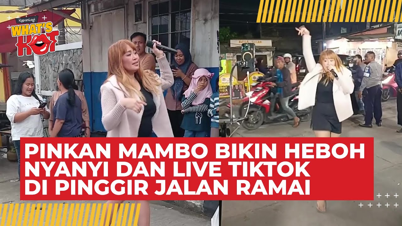 Pinkan Mambo Ketahuan Nyanyi Sambil Live Tiktok di Pinggir Jalan, Publik Dibuat Heboh