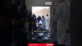 El famoso Youtuber mexicano Luisito Comunica habla sobre el campo de exterminio en Jalisco