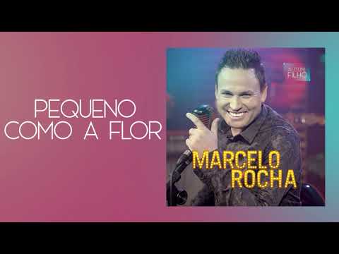 Marcelo Rocha - Pequeno Como a Flor | Álbum Filho