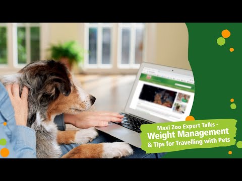 Maxi Zoo Expert Talks - Weight management and travelling with pets