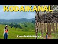Complete Guide To Kodaikanal Places To Visit 2 Day Itinerary Accomodation