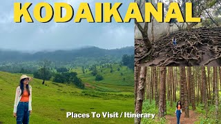 Complete Guide To Kodaikanal | Places To Visit | 2 Day Itinerary | Accomodation