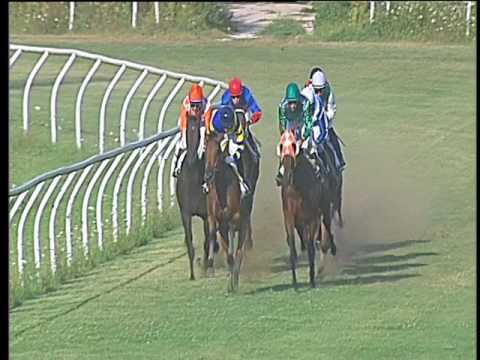 Galoppo 26/07/2017 - 3ª corsa