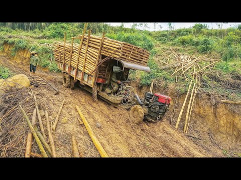 Insane Downhill Ride! Small Truck Faces the Most Dangerous Slope in Vietnam!