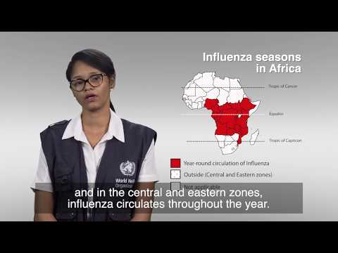 How investing in influenza preparedness is paying off in the fight against COVID-19