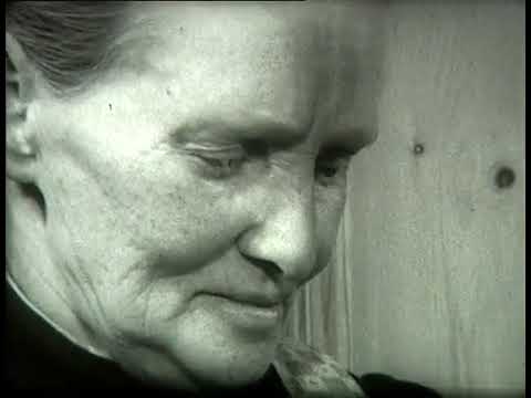 FLACHS - SPINNEN 1964 - IWF 7' stumm