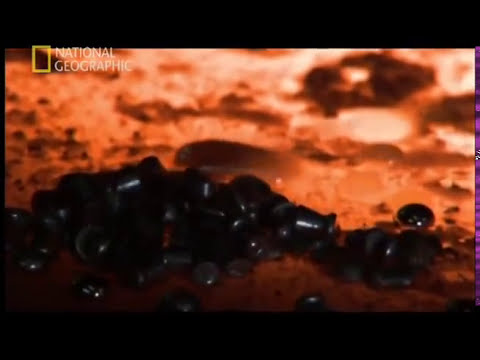 Dünyanin ikizi: Venüs Belgeseli National Geographic Türkçe Dublaj İzle