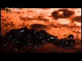 Watch The Documentary Earth S Twin Venus From National Geographic With Turkish Dubbing
