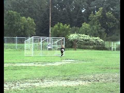 nk-zelina vs.nk-udarnik 0910.avi