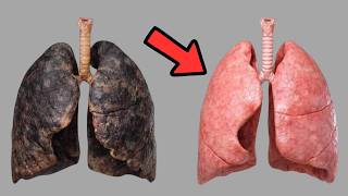 The Lung Healing Vitamin Doctors Don't Tell You