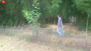 Download lagu aja sulaya.yoyo s feat Uung kuria.lipsing GajahBaru  chanel mp3