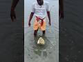 Floating Stone Rameswaram Ramsetu Ram Floating Stone Viral Rameswaram