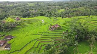 Download lagu Video Drone Footage Sawah Pedesaan pajampangan sukabumi jawabarat indonesia HD 4k 2k 8k mp3