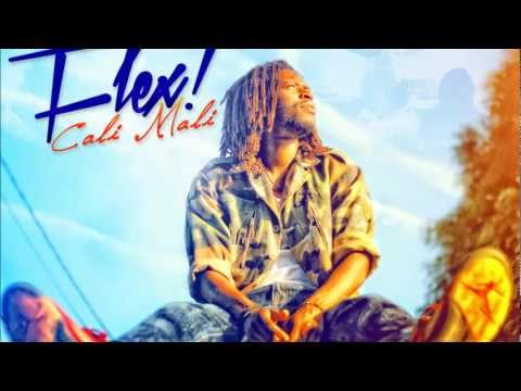Cali Mali - Flex [Audio]