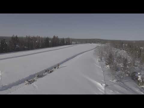 Reindeer sleigh-ride on top of Kujalan Reindeer Farm Since 1860