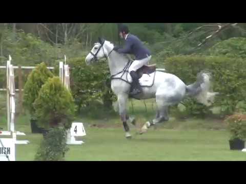 Sold Call me Claus 7y/o gelding by Cancara(Cassini I)XLudwig von Bayern JÜLICH