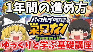 #栄冠クロス 初心者/はじめたての方向け 基本の進め方　 栄冠ナイン クロスロード