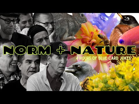 Norm + Nature: the COMPLETE Blue Card Jokes Collection