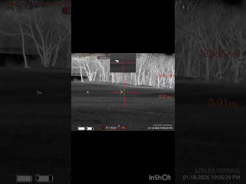 Athlon Cronus ATS Pro | Budget Thermal Optic 