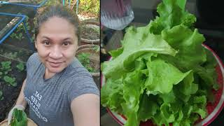 Meet Maria, an organic farmer from the Philippines 🇵🇭