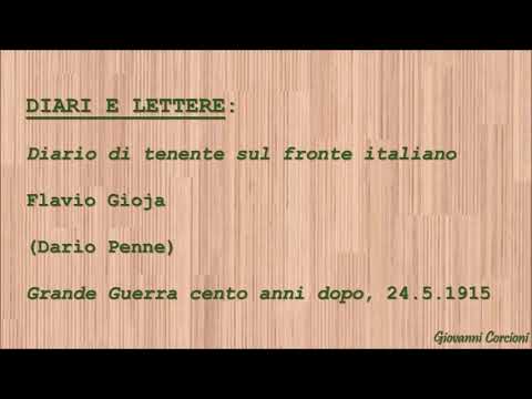 Flavio Gioja - Diario di tenente sul fronte italiano