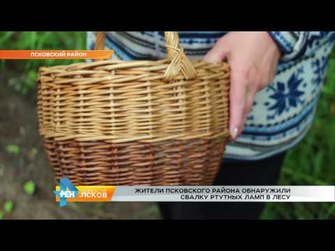 Новости Псков # Итоговый выпуск от 21.07.2017
