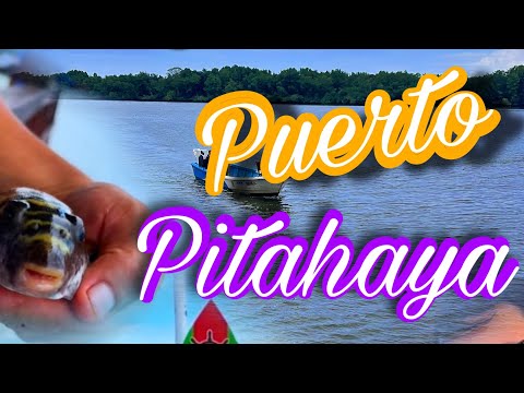 Pesca deportiva en el Puerto Pitahaya #eloro  #arenillas  #pesca  #pitahaya  #ecuador