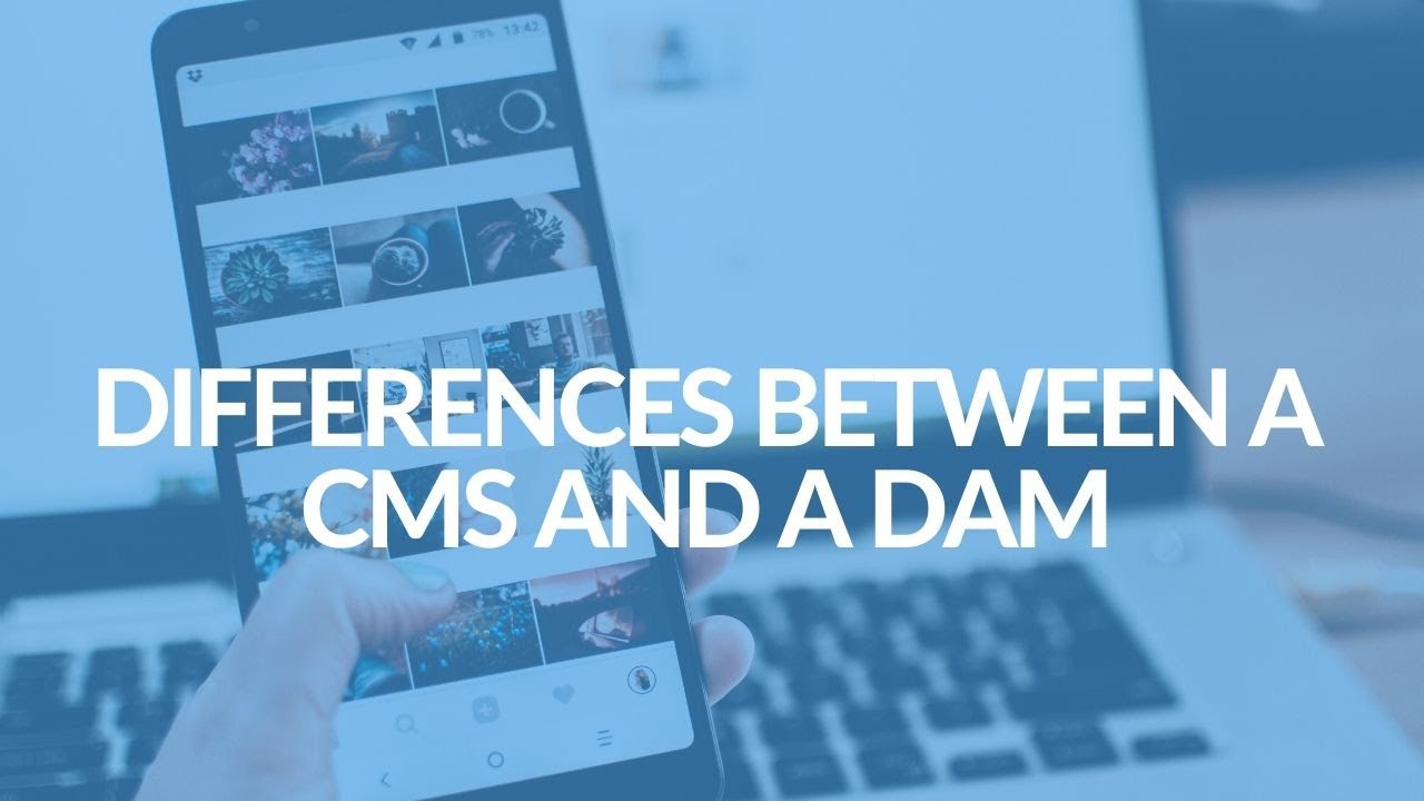 Difference Between A CMS and A DAM