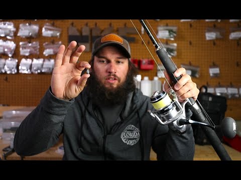 How to Catch Triggerfish