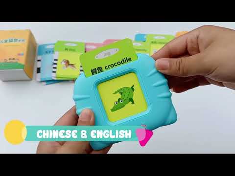 Talking flash card learning toy