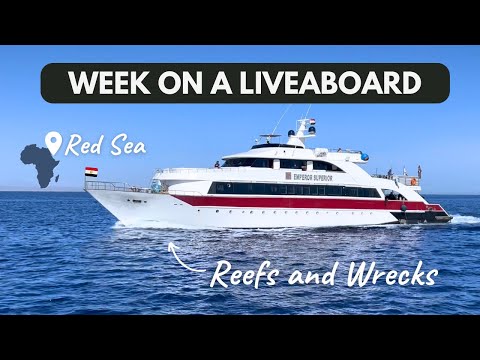 Week on a Liveaboard in the Red Sea - Emperor Divers Reefs and Wrecks