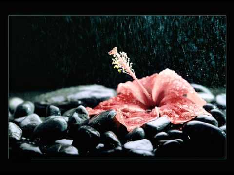 Patient Saints - On Your Mind (Outer Limits Of Your... Mix)