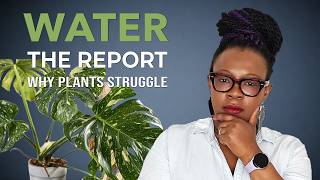 What a $150 Water Test Revealed About My Semi Hydroponics Setup