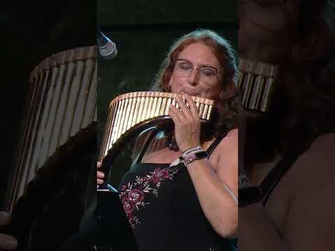 Romanian Nai solo by Liselotte Rokyta