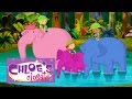 Chloe S Closet Friendly Animal Adventures