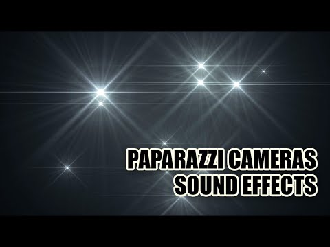 Paparazzi Camera Sound Effects 📸 Camera Sounds