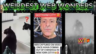 weirdest web wonders vol 395