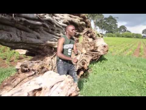 Sam WaKiambo - Kairitu Ga Kinangop